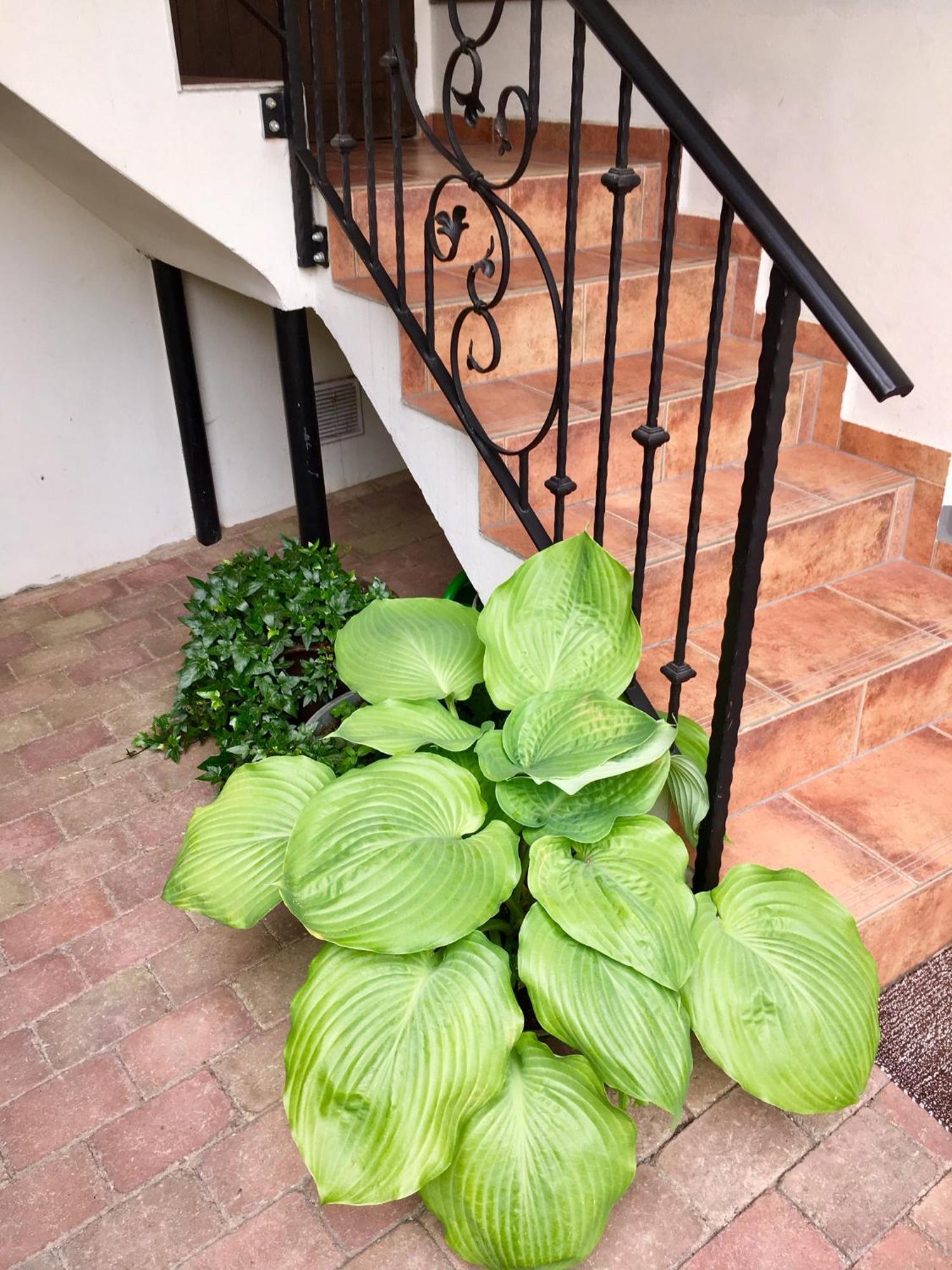 Apartmany U Vavrince Susice Exterior photo